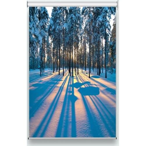 Modern Roller Blinds Forest Snow Scenery Curtains Blinds For Living Room Bedroom Children Room Shade Kitchen Curtains