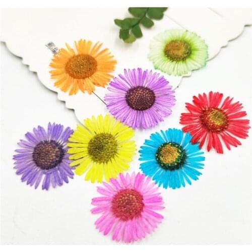 12 Pcs DIY Needle Chrysanthemum Dried Flowers Resin Mold Fillings UV Epoxy Filler Nail Art Pressed Flowers Decal Decor Handicraf