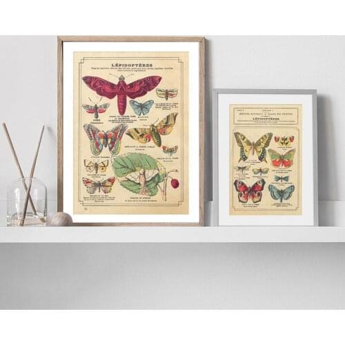 Butterfly Insect Vintage Poster Papillons Print Canvas Painting Biology Education Wall Art Picture Modern Study Room Decoration