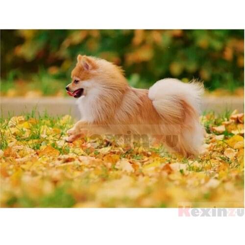 Kexinzu Full 5D DIY Square/Round Drill Diamond Painting "Animal Dog" 3d Diamond Embroidery Cross Stitch Decor Gift Ke056