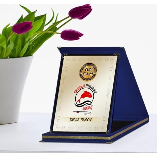 Personalized The Year 'S Best Fishing Technology Engineer Navy Blue Plaque Award