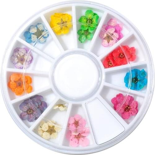 New nail art 12 colors small dried flowers small disc box jewelry three-dimensional dried flowers real flowers nail decals