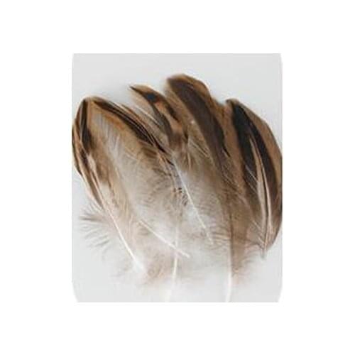 Plume!200PCS/LOT 5-10cm Natural Mallard Duck Barred Plumage Feathers,Duck craft feathers,Natural Feathers