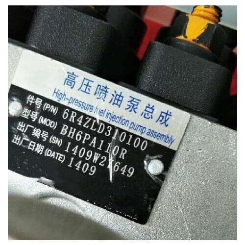 High pressure fuel injection pump assembly BH6PA110R