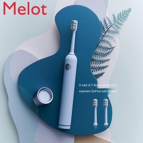 Electric Toothbrush Couple Set Adult Rechargeable Automatic Sonic Soft Bristle Waterproof Toothbrush Valentines Day Gift