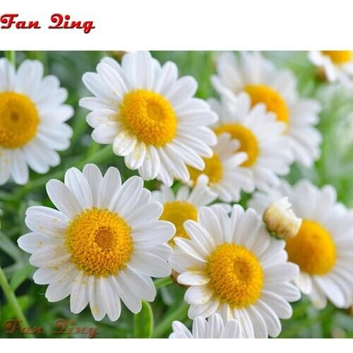 5D Diamond Embroidery Daisy Full Square Diamond Painting Flower Mosaic Rhinestones Pictures Home Decoration