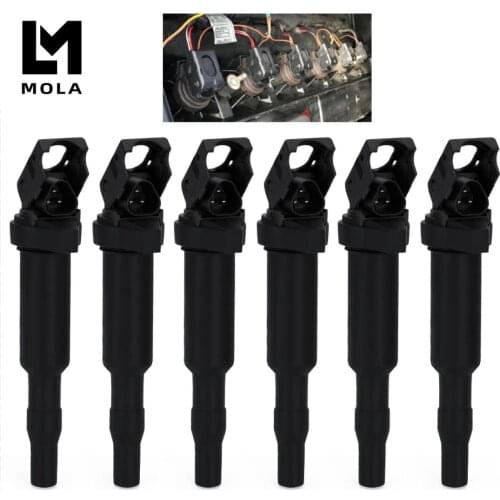 6PCS Ignition Coils For 0221504470 BMW E81 F22 F23 E46 E90 F33 X3 E83 No# 12138616153 12137594596 12137571643 C1795 C1826 1