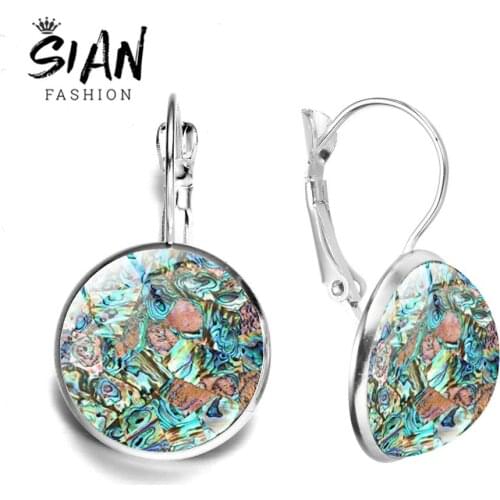 SIAN Natural Abalone Shell Earrings Bohemian Style Bronze Silver Color Glass Crystal Dangle Hook Earrings for Women Sea Jewelry