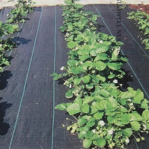 1m W0.5~4m Greenhouse Weed Control Mat Anti Grass Cloth Gardening Landscaping Plastic Mulch Orchard Weed Barrier Fabric Weedmats