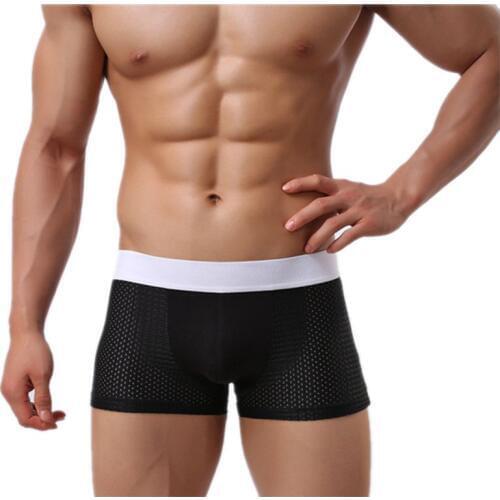 Nylon Mesh Underwear Male Underpants Men Basic Underwear Lingerie Sexy Boxer Shorts Modal Boxershorts Trunks Hombre Cuecas Solid