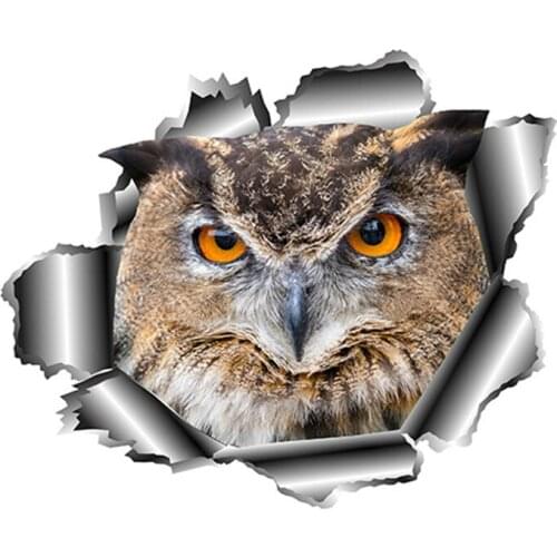 Creative Animal Car Sticker 3D Owl Torn Vinyl Decals Waterproof Automobiles Motorcycles Styling KK Cover Scratches Waterproof