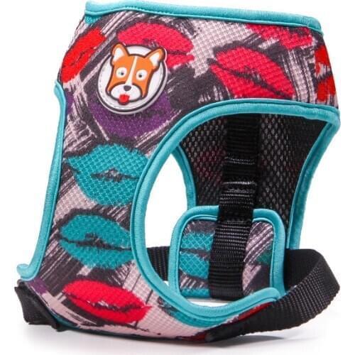 Medium Small-Sized Pet Dog Harness Leash Gorgeous Printing Explosion-proof Walking Leashes Harnesses for French Bulldog Teddy