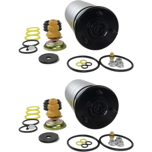 AP03 2 pcs Front Air Suspension Air Shock For Land Range Rover Sport LS LR4 LR3 Discovery 3 &4 RNB501610 RNB501620