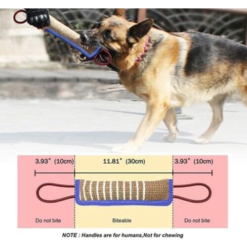 New Fashion Cartoon Dog Chew Toy Bite Resistant Dog Plush Toy for Puppy Small Large Dog Training Pet Accessories Supplies