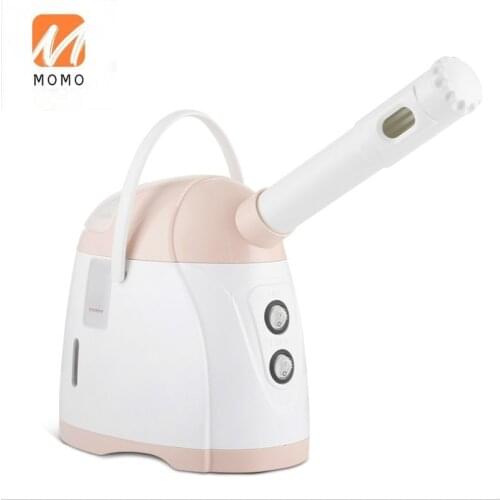 Facial Vaporizer Hot Cold Double Spray Nano Spray Beauty Instrument Hydrating ColdSpray Humidifying Facial Steame FacialSteamer