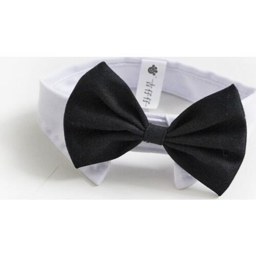LADOMILOV Dog Accessories
