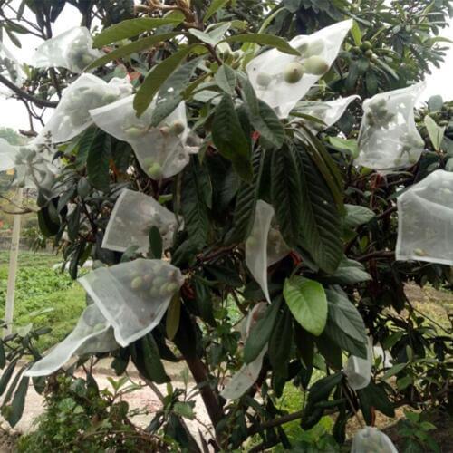 10 PCS Vegetables Fruits Flowers Gardens Fruit Trees Bird Proof Insec Nets Nylon Seed Bags Garden Netting Plant Flower Care