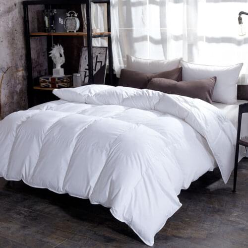100% Cotton Quilt Thickened Warm Winter Quilt Comfortable Soft Bed Cover Blanket All Seasons Breathable Quilt White Home Duvet
