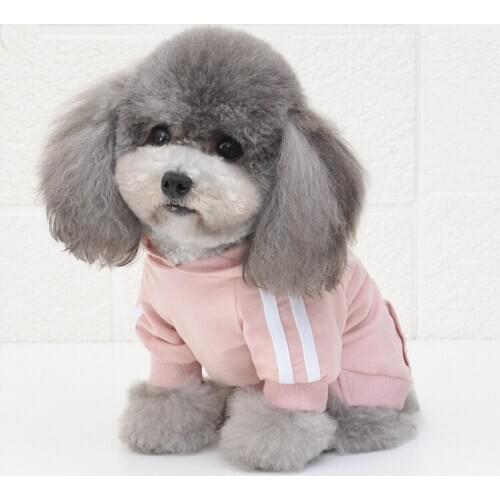 Spring Dog Clothes Pet Coat Hoodie Cat Chihuahua Puppy Sports Sweatshirt Poodle Yorkies French Bulldog Clothing