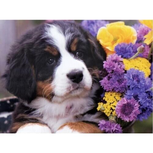 New DIY Diamond Painting Bernese Mountain Dog Cute Pet icon Cross Stitch patterns beads Embroidery kits Mosaic Decoration