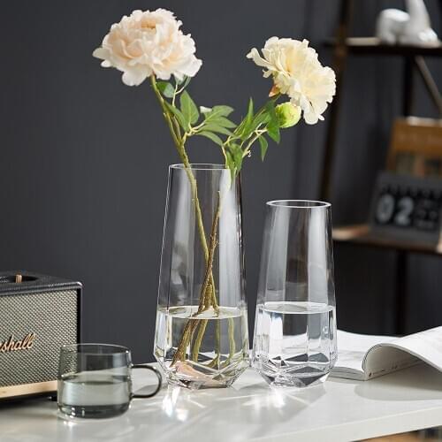 Nordic Glass Vase Home Decoration Flower Vase Living Room Decoration Terrarium Room Decor Aesthetic Vases for Flower Arrangement