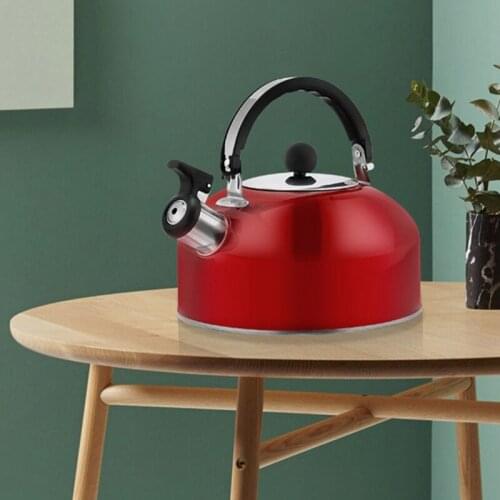 NHBR Home Whistling Kettle for Gas Stove 3L Stainless Steel Whistle Tea Kettle Water Bottle