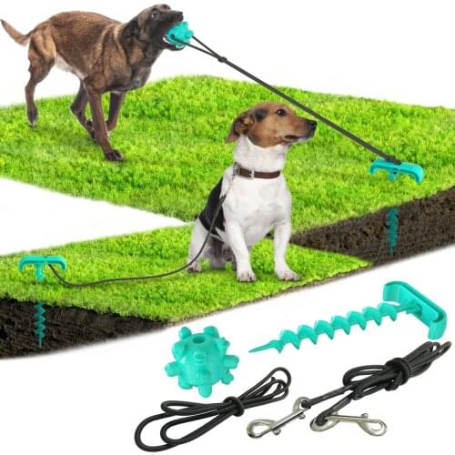 Pet dog toy dog ball traction rope set outdoor dog pile elastic rope ball combination toy pet dog go out fixed pile with chewing