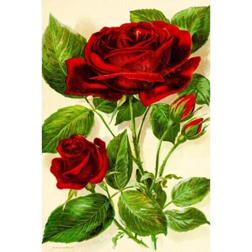 Red Rose Vintage Floral Retro Style Metal Sign Garden 12x8 Inches