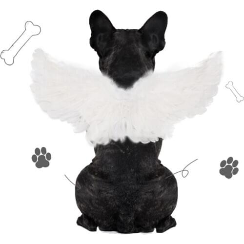 Pet Halloween Feather Wings Handmade Demon Angel Cosplay Costume Holiday Dress Up Funny Dog Cat Simulation Costume Accessories