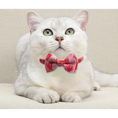 Pet Collar Bowknot Design Removable Skin Friendly Pet Cats Necklace Loop with Bell for Pet Product