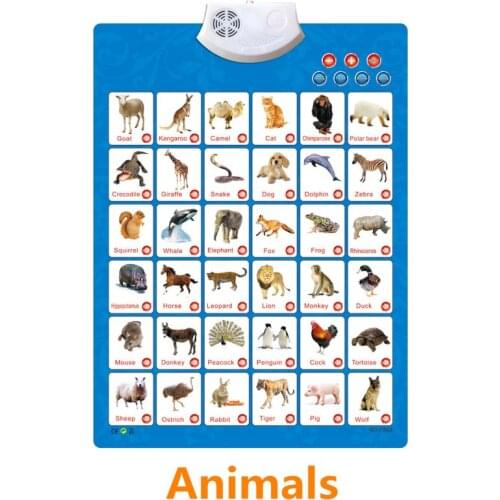 Electronic Interactive Alphabet Wall Chart, Talking ABC & 123s & Music Poster Y4UD