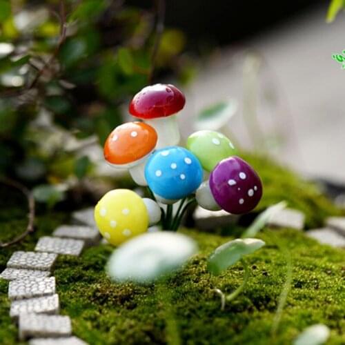 MEIHON Products For The Garden And Vegetable Garden