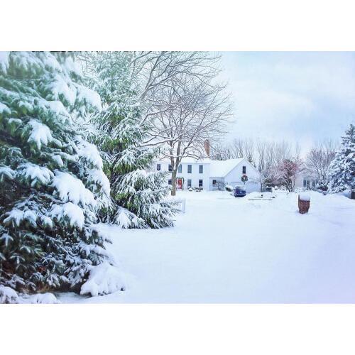 Snow Pine Trees Building Photographic Background for Christmas Custom Backdrop for Children Baby Lovers Photoshoot Fond Photo