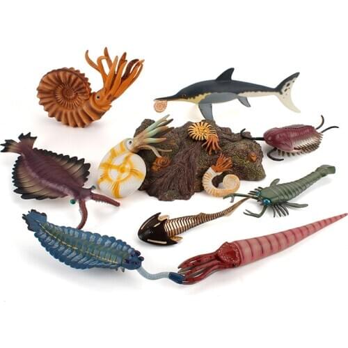 Ancient marine life Simulated Animals Nautilus Anomalocaris ichthyosaur Trilobites Action Figure Toys Gift Model Kids