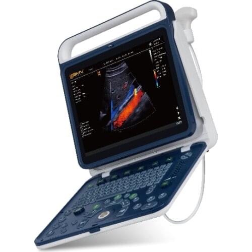 Veterinary medical vet ultrasound veterinaria ultrasonido