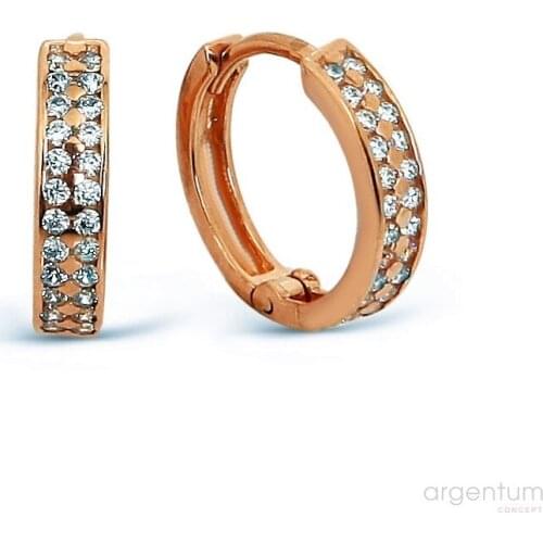 Argentum Concept-Zircon Silver Rose Ring Earrings