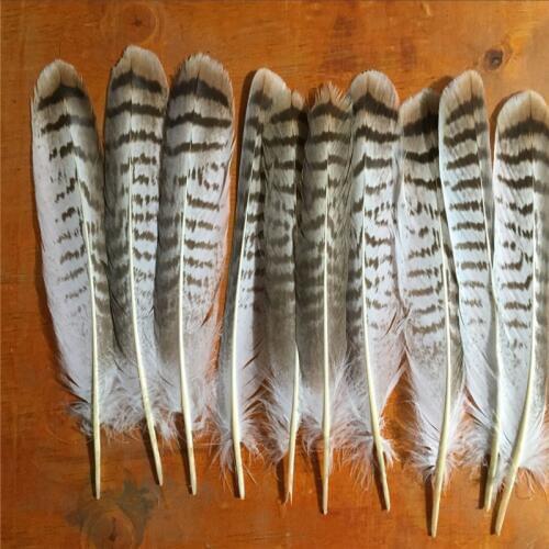 10 high-quality 25-30CM (10-12 inches) Flower eagle tail hair system with upholstered furniture, dinette