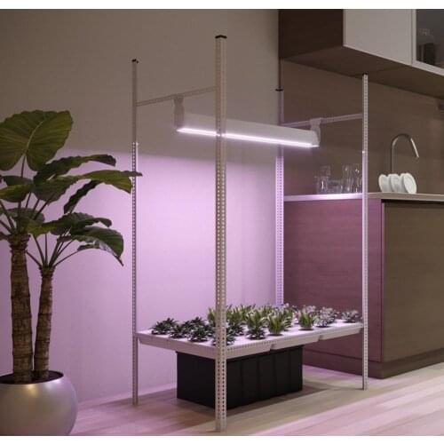 ALED Designer Original Lamps