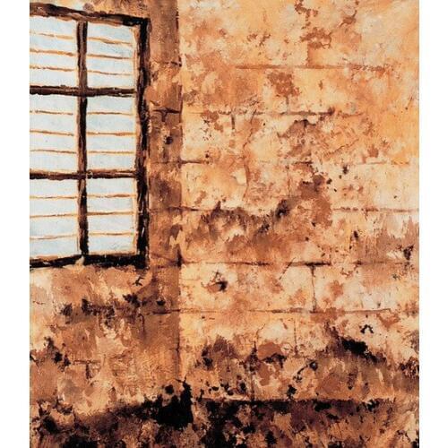 Professional old master Hand Paint Muslin window backdrops FSE30,10 x10ft photo background cloth background photo studio wedding