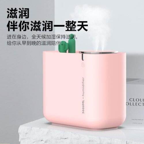 New cactus creative humidifier large capacity 3L double nozzle quiet home office air humidifier