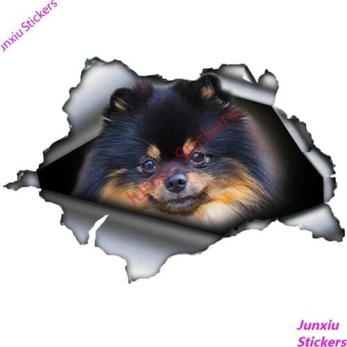 Cartoon Animals Black and Brown Pom Pomeranian Car Sticker Torn Metal Reflective Decal Waterproof SUV Exterior Decor PVC13x9cm