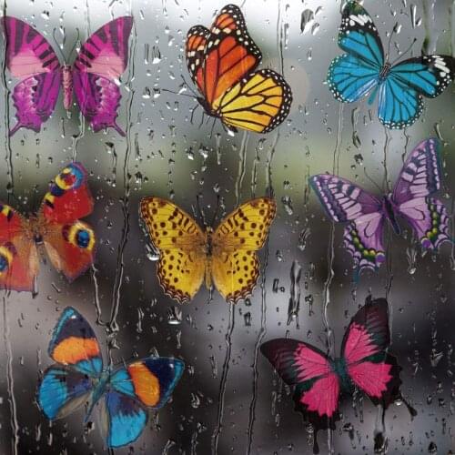 Tulequ Decorative Films For Windows