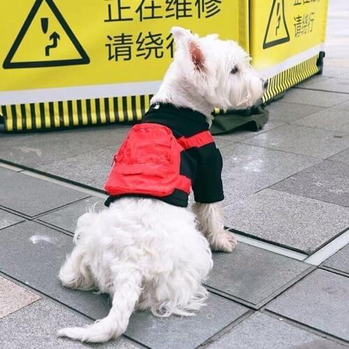 Fashion Pet Dog Backpack Clothes Hoodie Coat French Bulldog Schnauzer Chihuahua Pug Jacket for Small Dogs Dropshipping EMC05