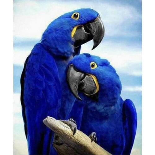 Blue Parrots Full Square Round 5D DIY Diamond Painting Crystal Diamond Embroidery Cross Stitch Needlework Decor L647
