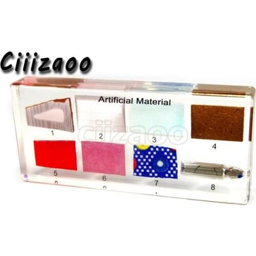 Artifical Material Specimen paperweight Taxidermy Collection embedded In Clear Lucite Block Embedding Specimen