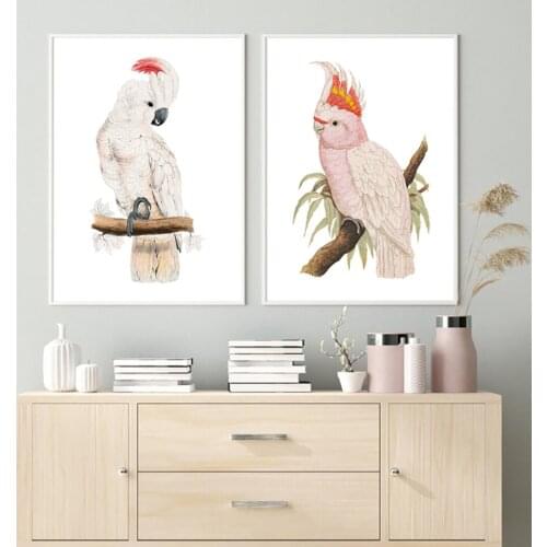 HD Print Pink Watercolor Picture Parrot Animal Poster Wall Art Canvas Oil Painting Nordic Modern Living Room Home Decoration