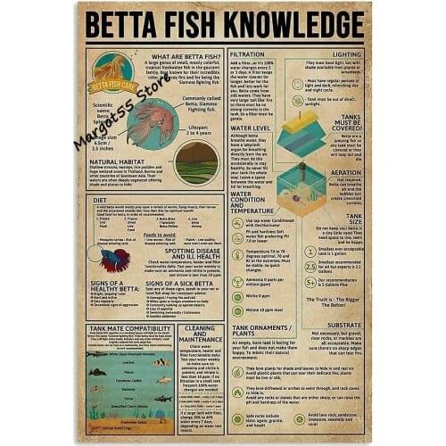 Kegill Metal Tin Signs Fighting Fish Knowledge Outdoor Wall Art Decorative Metal Sign Plaque for IndoorOutdoor