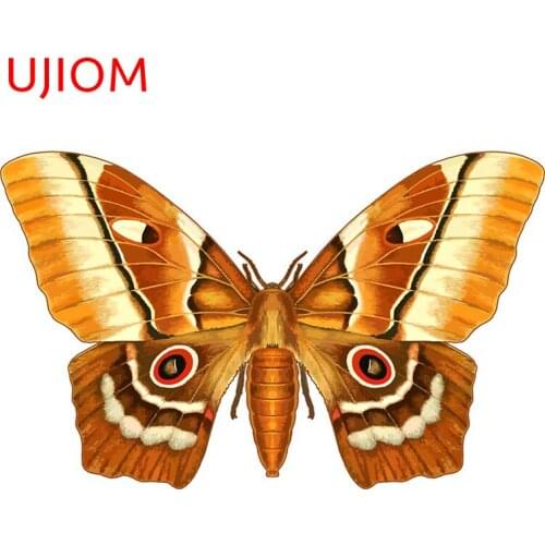 UJIOM Wall Stickers Cartoon Saturna Moth Butterfly Wallpaper Decoration Waterproof Sticker Accessories Room Home Decor Art Decal