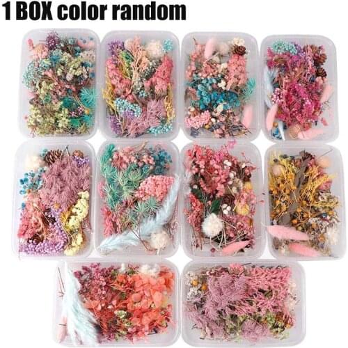 Random 1box More Than 8 Style Mix Flower Pressed Dried Decors Art Accessories Plants Dry Leaves For Nail Making Jewelry Diy Z0S9