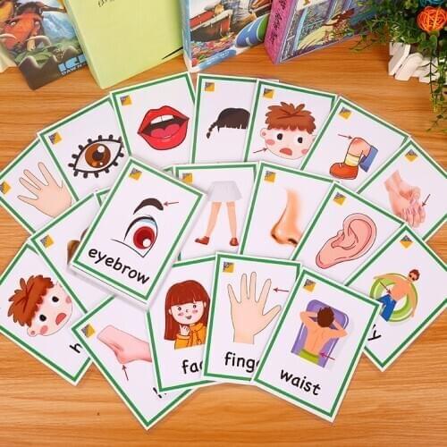 30pcs Body Parts Cognitive Card Learning English Vocabulary Early Educational Toy For Children Montessori Baby Flash Cards